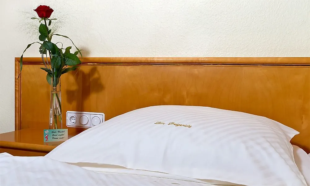 Hotel-Gasthof Zum Freigericht Alzenau in Unterfranken 3*,
