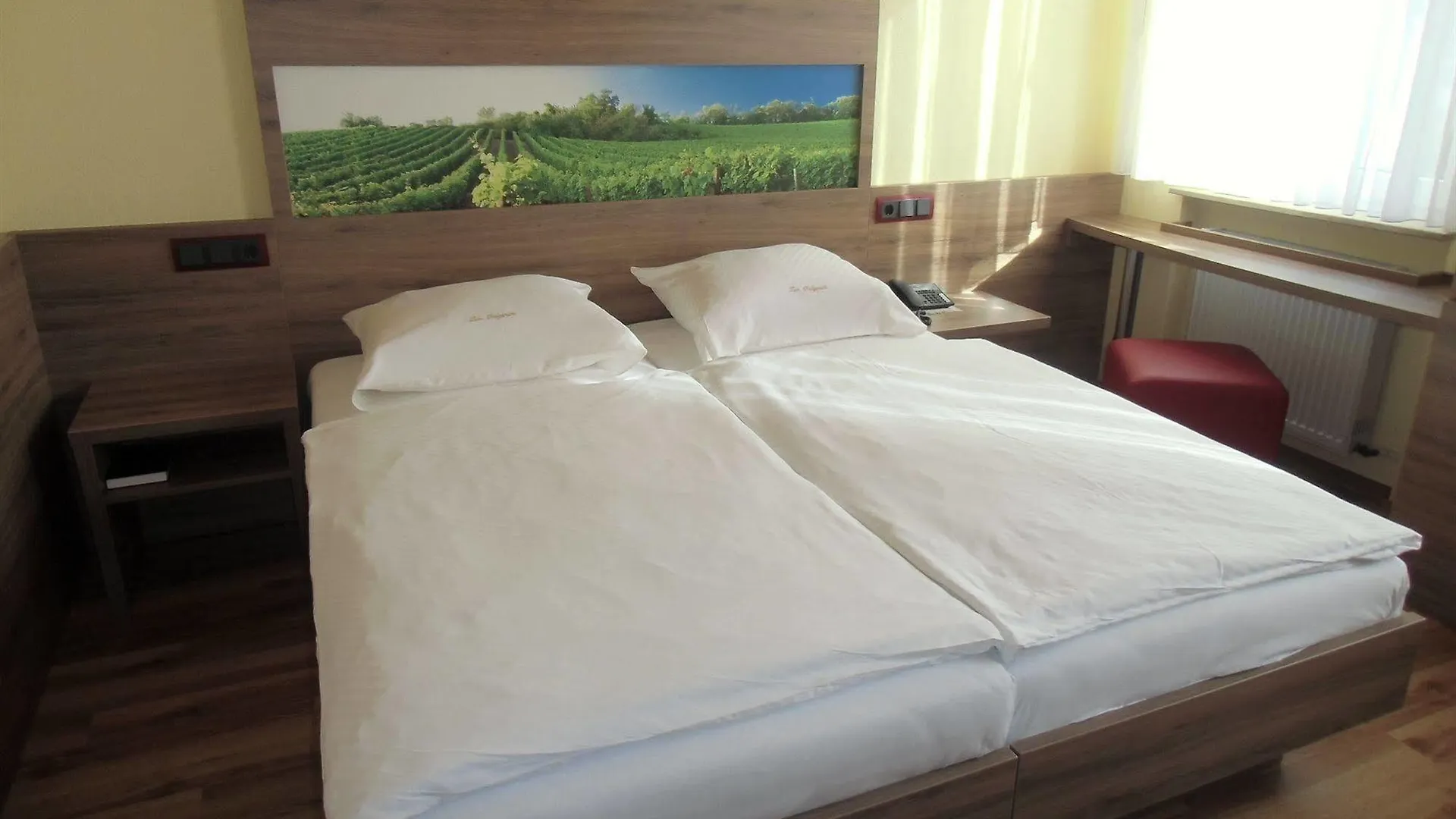 Hotel-Gasthof Zum Freigericht Alzenau in Unterfranken 3*,  Tyskland